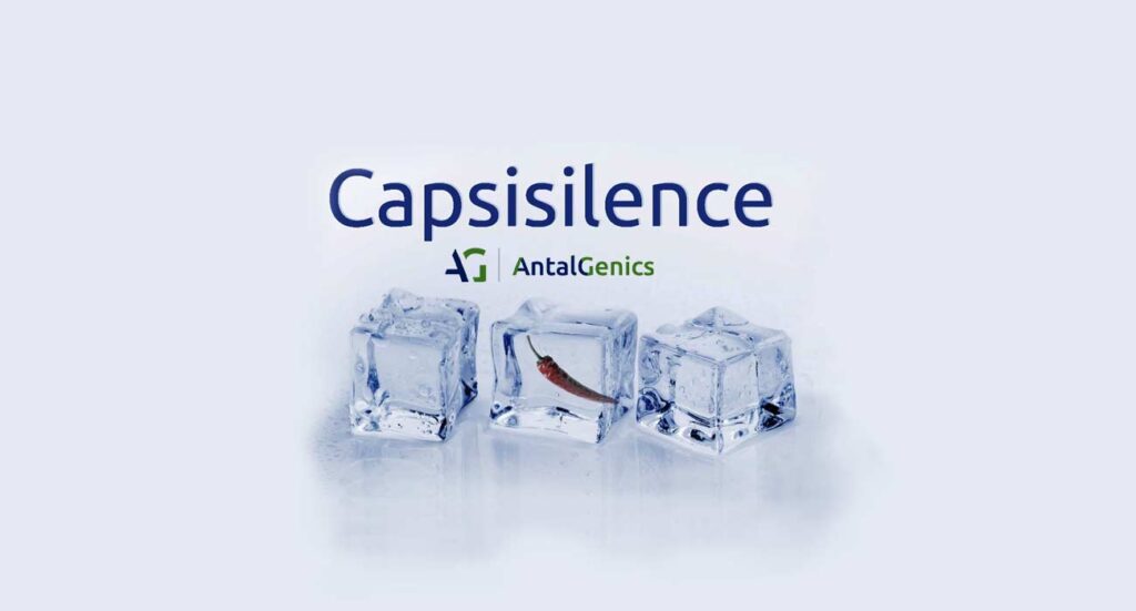 Capsisilence®: Nuevo Ingrediente Neurocosmético para Mejorar el Cuero Cabelludo Irritado