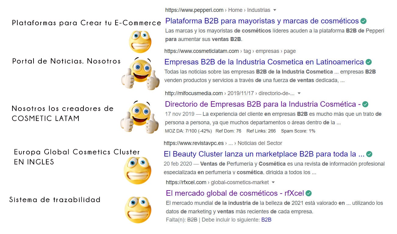 Resultados de Google cuando buscamos información B2B para la Industria Cosmética en Español