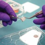 Modelos de órgano en chip y su uso en dermatología para tratar piel sensible