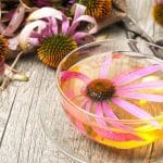 ¿Qué usos cosméticos tiene la Echinacea Purpurea? - Extractos