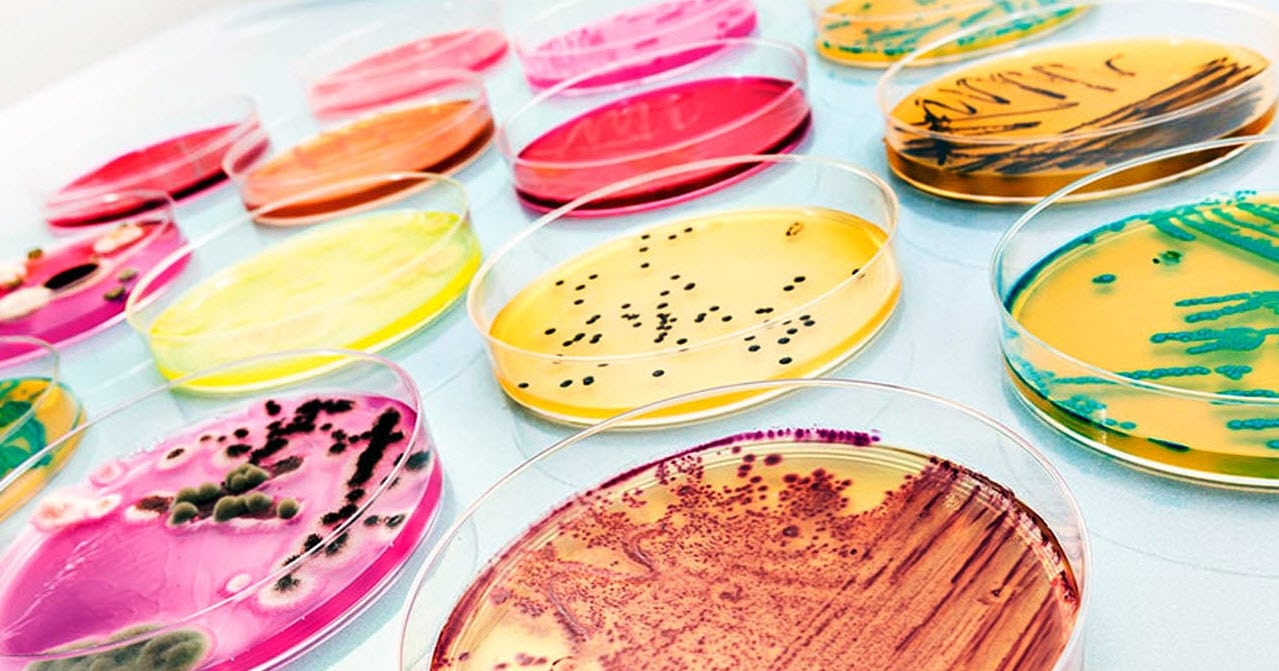 Biopigmentos de origen microbiano y su aplicación en cosmética